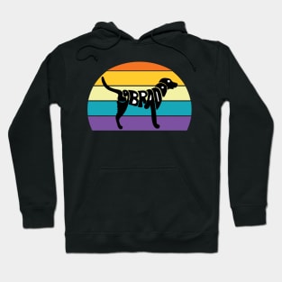 Labrador retro sunset Hoodie